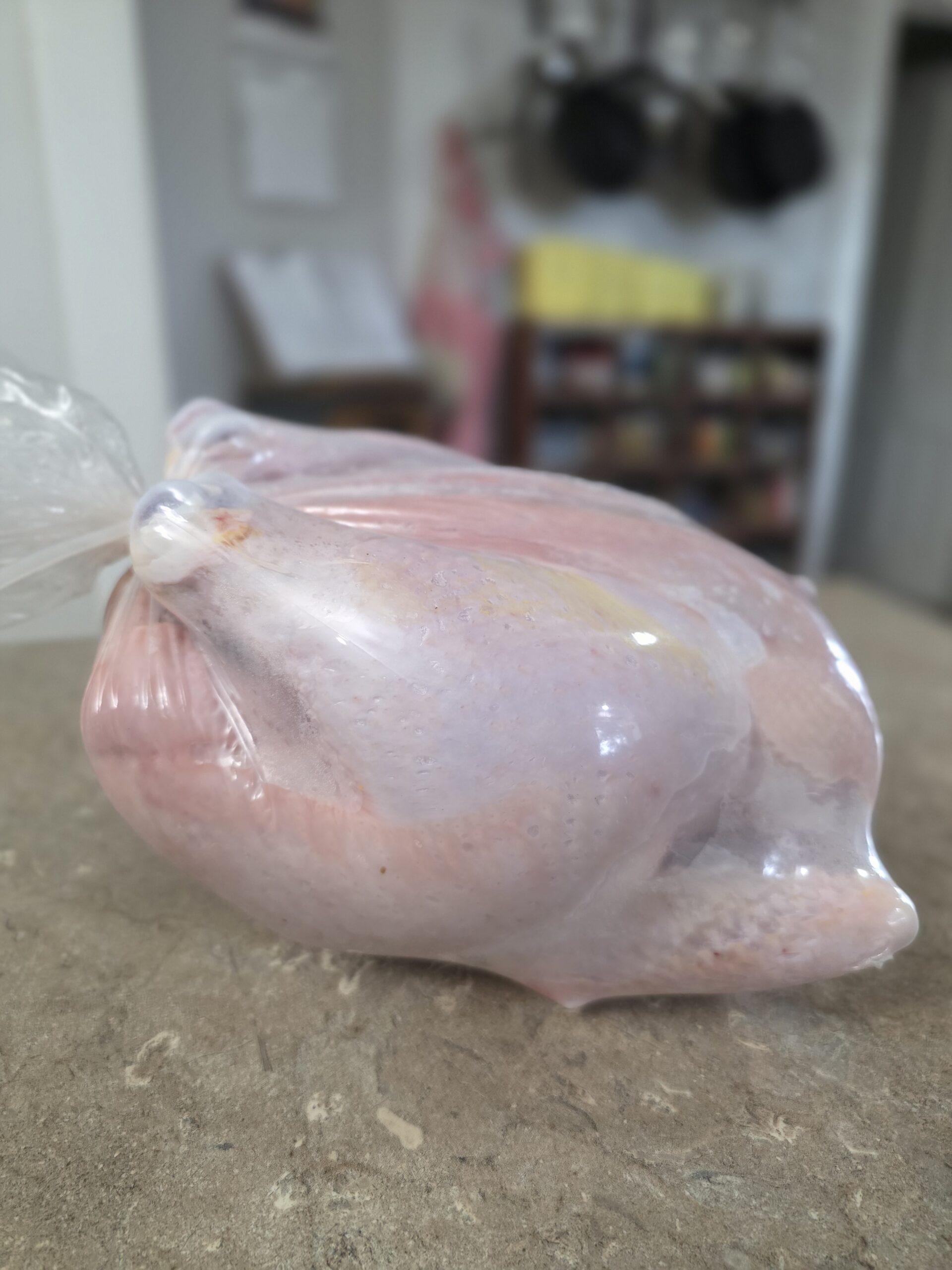 processed chicken packaged and sitting on a homesteader's counter