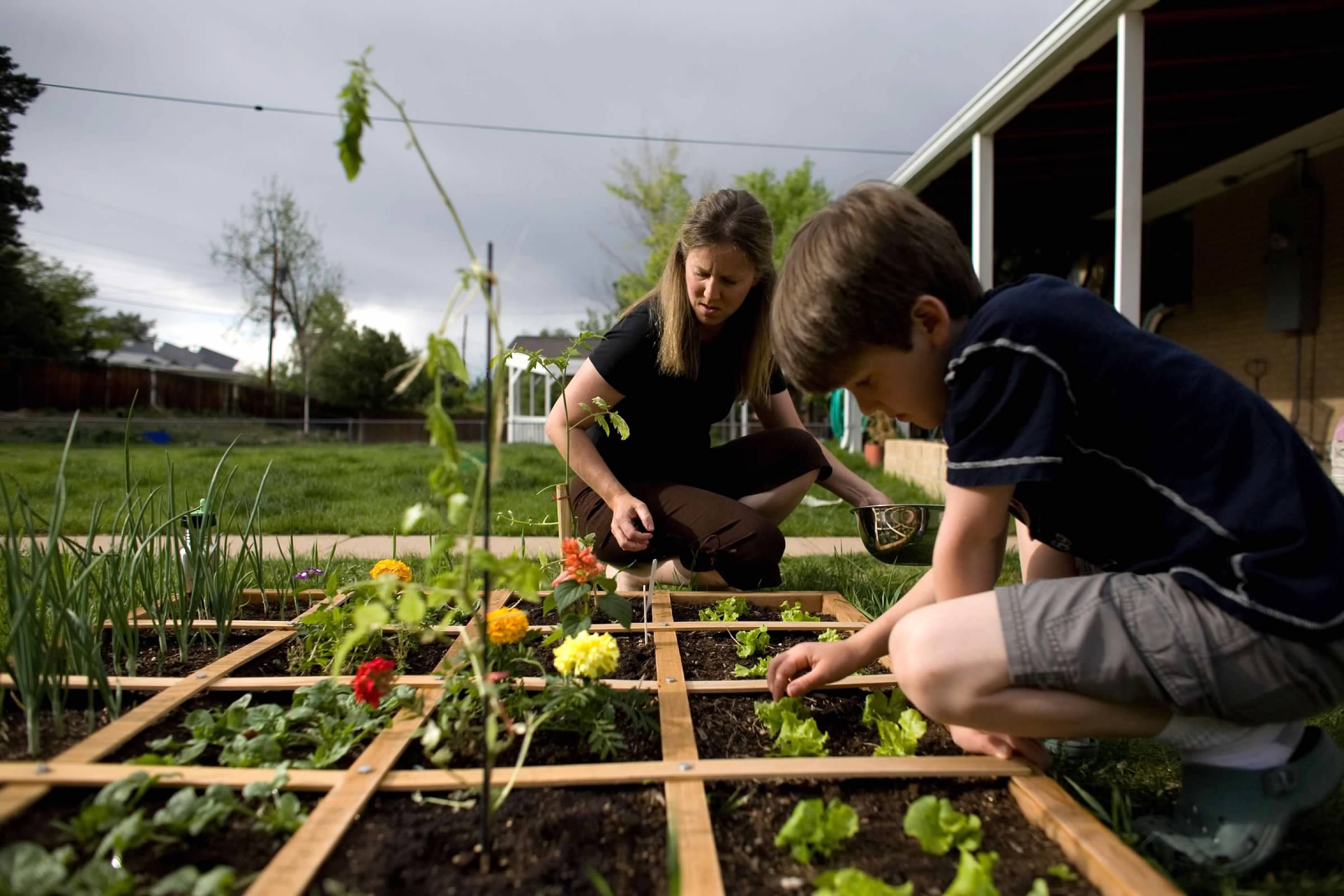 Gardening using square foot gardening method in a suburb. Too Poor to Homestead? How to Change Scarcity Mindset