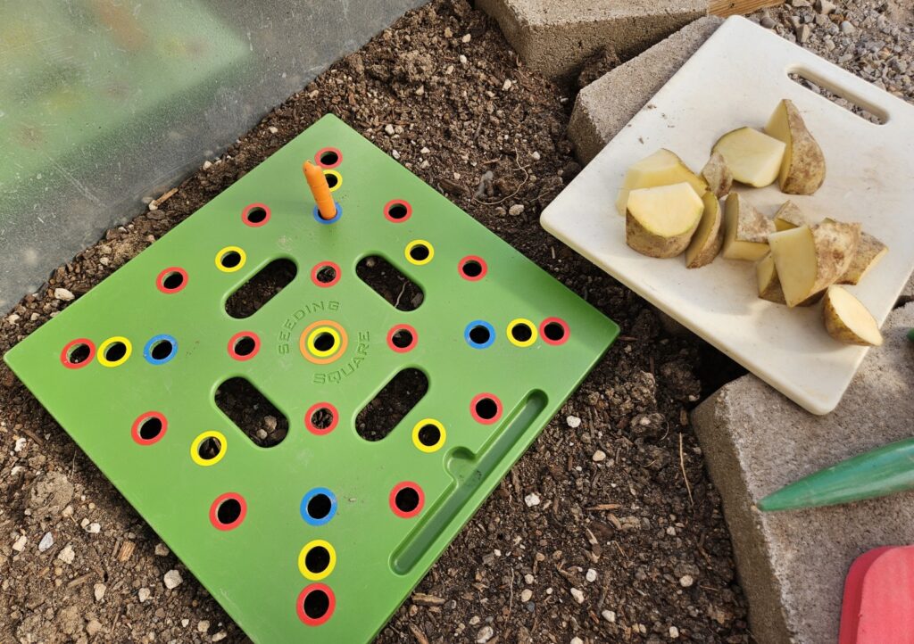 A seeding square from Square Foot Gardening method being used to poke holes to plant potato eyes.