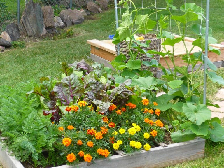 vertical square foot gardening box