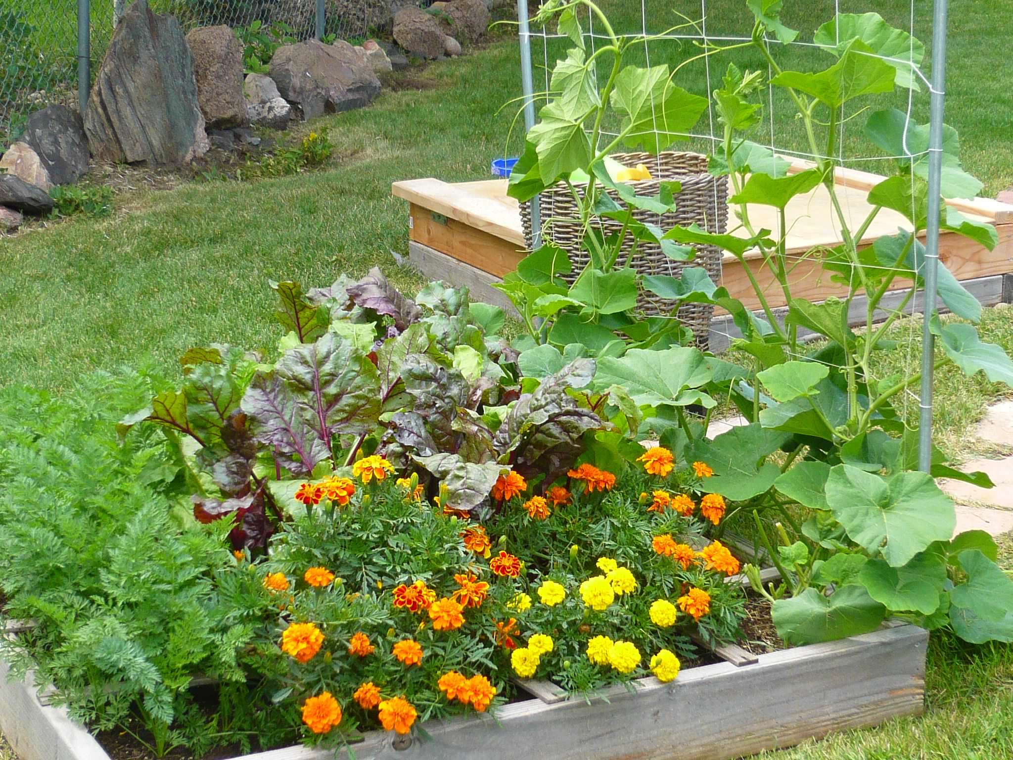 vertical square foot gardening box