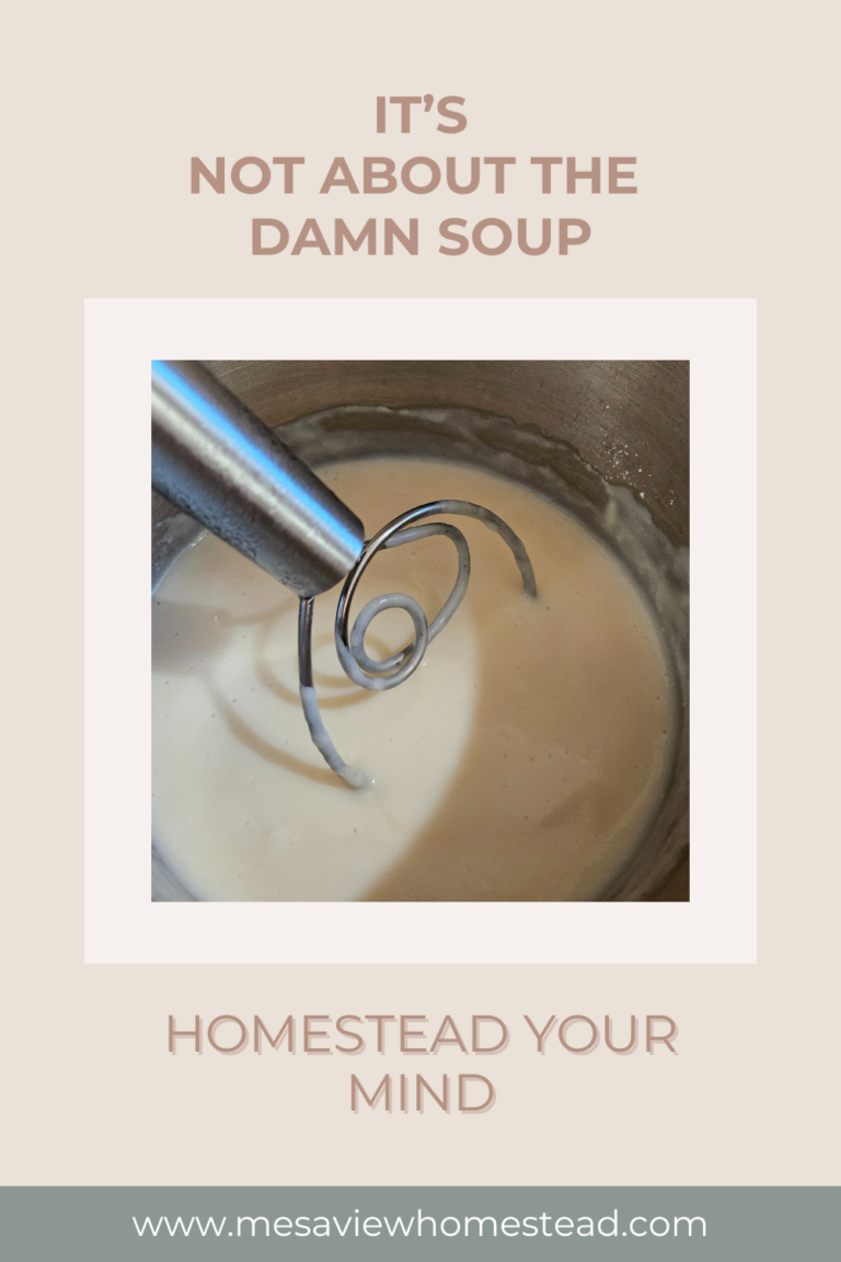 pinterest pin for blogpost about mindset