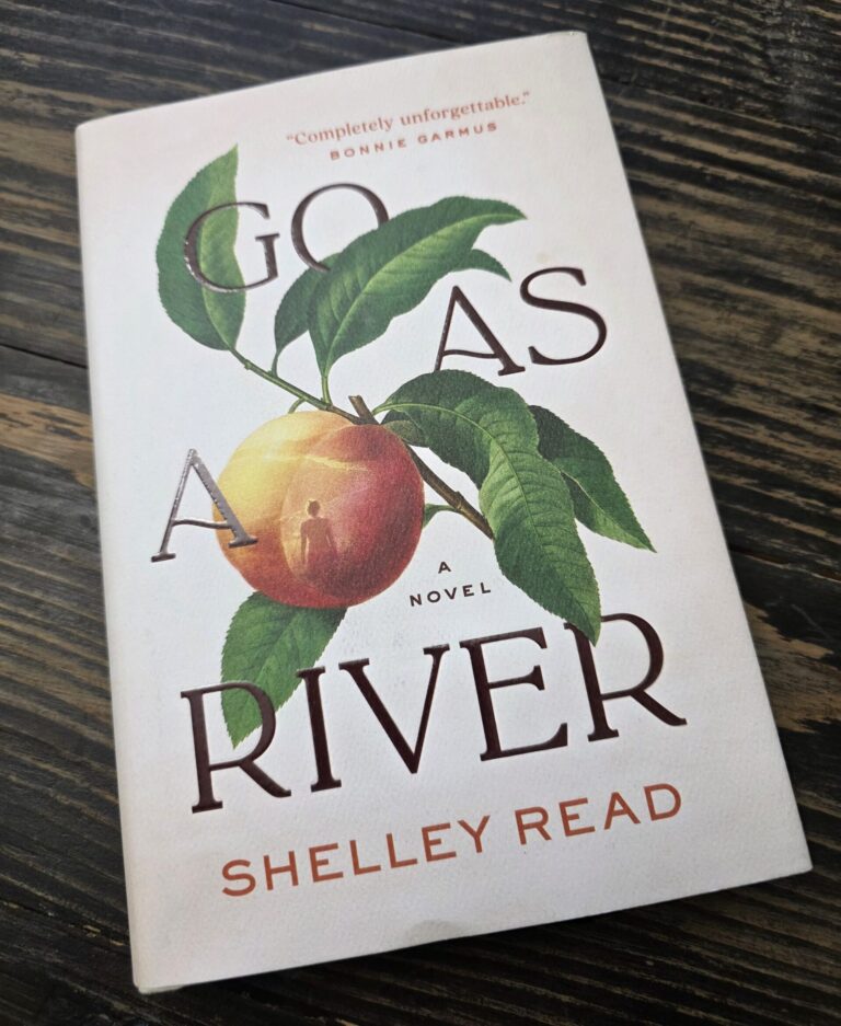Picture of Go As a River book by Shelley Read